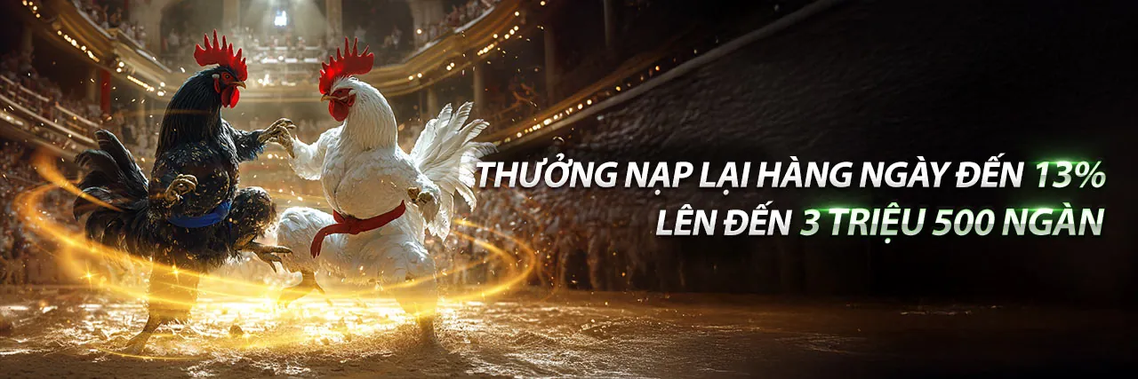 Đá gà trực tuyến Waybet với không khí sôi động