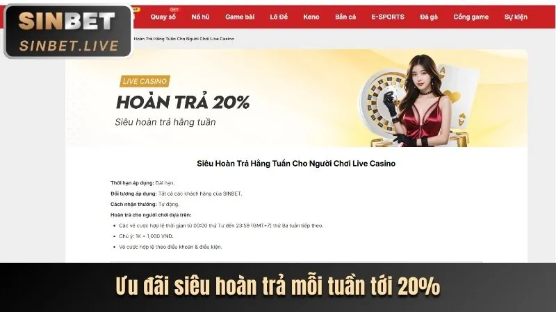 Hoàn trả tiền cược hàng tuần cho cá cược thể thao waybet